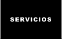 SERVICIOS